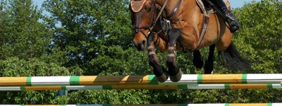 Cena města Ústí nad Labem v parkurovém skákání